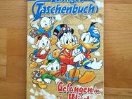 GEFANGEN IN DER WÜSTE ~ Lustiges Taschenbuch Nr. 336 ~ Walt Disney, 03/2005, gepflegt - Bad Lausick