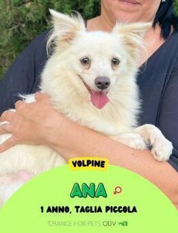 ANA 💚💚💚 möchte was erleben - Herxheim (Landau)