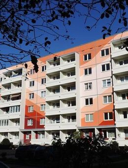 freundliche Erdgeschosswohnung - Thale