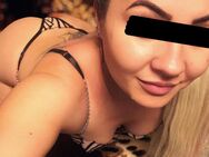 ganz NEU ! 🌺 SAMIRA, 26 J. 🔥 heiße Lust-Maus aus Spanien voller Leidenschaft 🔥 Besuchbar + Haus- und Hotelbesuche!!! - Stuttgart Zentrum