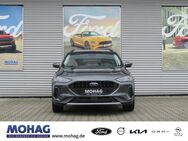 Ford Focus, 1.0 l Active EcoBoost (MHEV) -- EU6d, Jahr 2023 - Recklinghausen