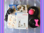 Hunde-Starter-Set mit Kauspielzeug, 1 Hundedecke von Trixie, 2x Anti-Schling-Napf, 1 Hundebuch mit vielen nützlichen Aufzuchttipps - Frankfurt (Main)