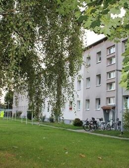 Mehrfamilienhaus bei Greifswald mit 1.600 m² Wohnfläche im Makler-Alleinauftrag ! - Greifswald