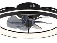 GLOBO LIGHTING Deckenleuchte CELESTE Deckenventilator, CCT - über Fernbedienung, Dimmfunktion, Farbsteuerung, Farbwechsel, Memoryfunktion, Timerfunktion, Ventilatorfunktion, dimmbar über Fernbedienung, mehrere Helligkeitsstufen, LED fest integriert,...
