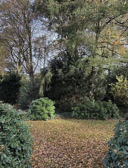 Gemütliches Einfamilienhaus mit zusätzlichem Bauplatz - Hatten
