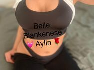 Südländische AYLIN //suche für morgen // Sexdate - Hamburg Altona