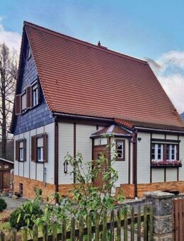 Begehrte Waldrandlage mit Blick ins Gebirge - Olbersdorf