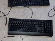 3 keyboard Pc 3 anschlüsse 2 alt 1 neu usb - Frankfurt (Main) Unterliederbach