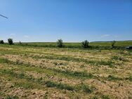 Ein Baugrundstück in sehr guter Lage im Teilort von Bad Schussenried - Bad Schussenried