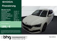 Skoda Scala, 1.0 TSI Ambition Scala Drive 125, Jahr 2020 - Freiburg (Breisgau)