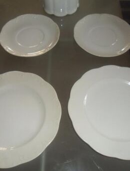 Rosenthal Classic rose  weiss - Neunkirchen Zentrum