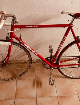 Gazelle Rennrad - Niederlangen