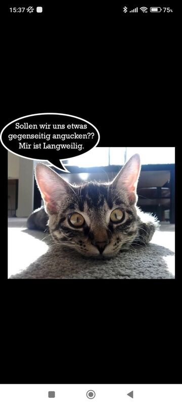 Profil