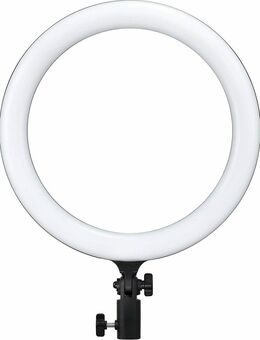 LED-Ringleuchte Studiolicht 3.000K bis 6.000K 12 " 30,48 cm Godox - Berlin Neukölln