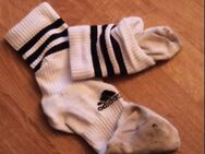 Socken, Slips und Schuhe von dominanten Alpha Sportler abzugeben - Berlin