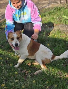 Stets freundlich + fröhlich = FRIX ♥️ - München