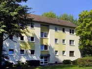Schöne 2,5-Zimmer-Wohnung im Erdgeschoss zu vermieten! - Frankfurt (Main)