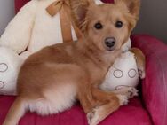 Milo - Bad Vilbel
