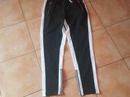 Heeren joggenhose gro M - Goslar