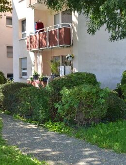 Neuer Preis - Gut vermietet - Kapitalanleger Objekt - Hanau (Brüder-Grimm-Stadt)