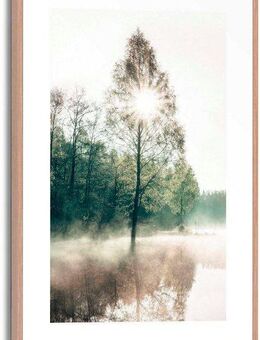 Reinders! Poster Sonne durch die Bäume