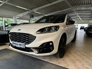 Ford Kuga PHEV ST-Line X *PANO-20ZOLL-B&O-HUD-AHK* - Papenburg