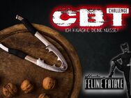 BDSM CHALLENGE mit Herrin Feline Fatale - Wolfsburg