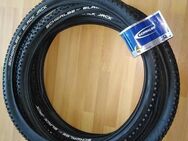 Velo Fahrradreifen 24Zoll Schwalbe Black Jack - Volketswil
