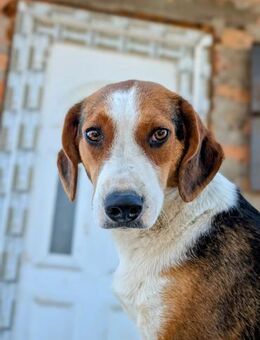 Louise neugierig & souverän - Müglitztal