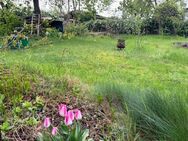 Sommer im eigenen Garten genießen. - Radebeul