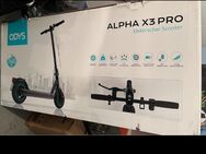 E Roller Odys Alpha x3 Pro 25kmh - Winterlingen