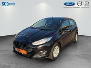 Ford Fiesta, 1.0, Jahr 2015 - Rutesheim