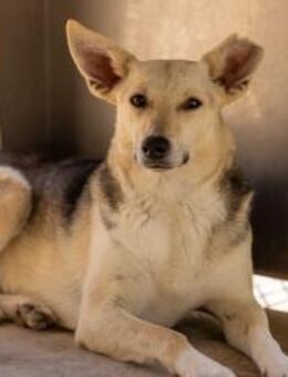 Mary Beth sucht ihr Zuhause - Duisburg