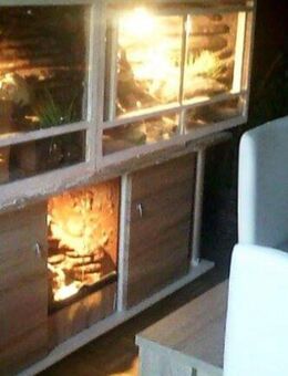 Leopardgecko Terrarium (Ohne Besatz!) - Moormerland