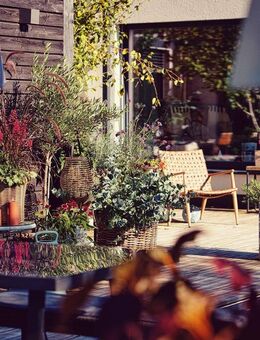 Urlaubsfeeling dahoam! Bungalow mit Einliegerwohnung, Pool und Sauna im Grünen - barrierefrei! - Neuötting