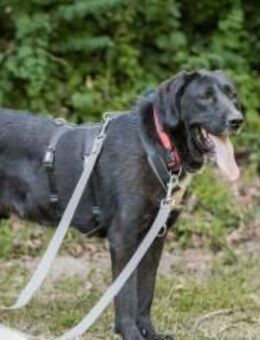 Jake Sully sucht seine eigene Familie - München