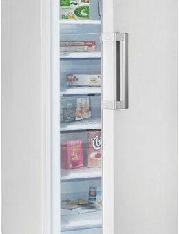 BEKO Gefrierschrank RFNE448E55W 7278441317, 191,2 cm hoch, 70 cm breit, Aufstellung bei -15 bis +43?°C dank FreezerGuard möglich.