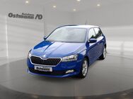 Skoda Fabia, 1.0 MPI Cool Plus, Jahr 2020 - Fritzlar