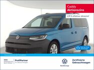 VW California, Caddy Maxi California TDI, Jahr 2022 - Wildau