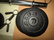 Alex 10 kg Kurzhantel Gewichtshantel Kraft Muskeln - Berlin