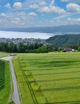 Seltenes Hofensemble in exponierter Lage - Bodman-Ludwigshafen