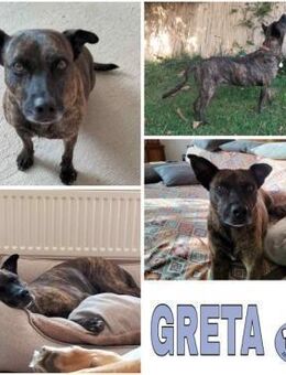 GRETA -Sonnenschein mit viel Charme- - Duisburg