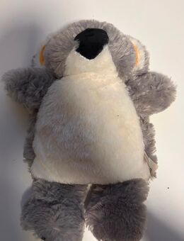 Kirschkernkissen Koala - Greifswald