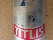 Fahrradteile Titlis Velo Steuerkopf CH Schild Emblem - Volketswil