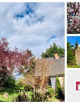 Selbstnutzung und/oder Kapitalanlage - 2 Häuser - riesiges Grundstüc -Nähe der Ostsee und Greifswald - Gribow