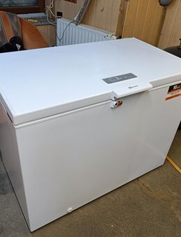 Bauknecht GTE 220 Gefriertruhe - Bürstadt