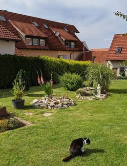 Dein neues Zuhause in Edelsfeld - Edelsfeld