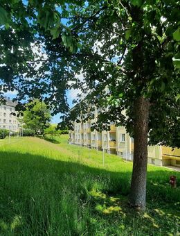 2 Raum-Wohnung mit Ausblick - Drebach