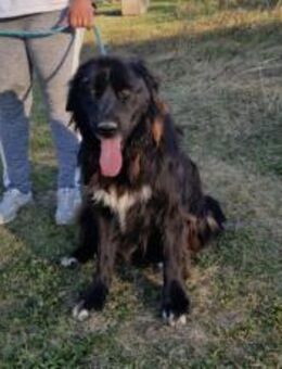 Wärme und Zuversicht für Nouri - München