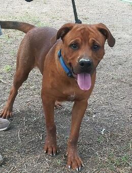 Rio wurde ausgesetzt - Duisburg